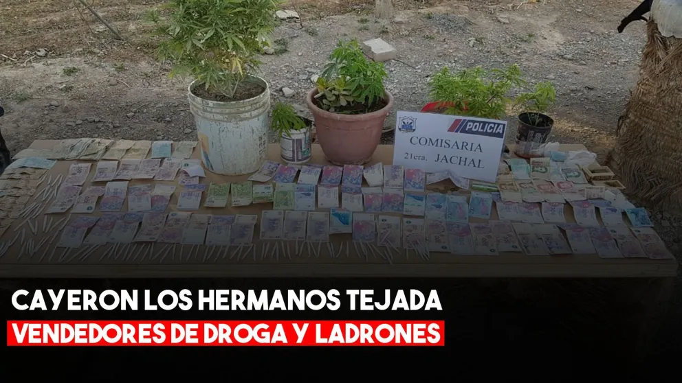 Secuestraron 170 plantas de marihuana, porros, dinero, y elementos robados