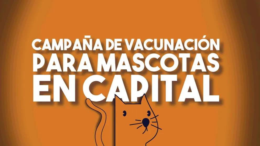 Calendario de vacunación de mascotas en Capital