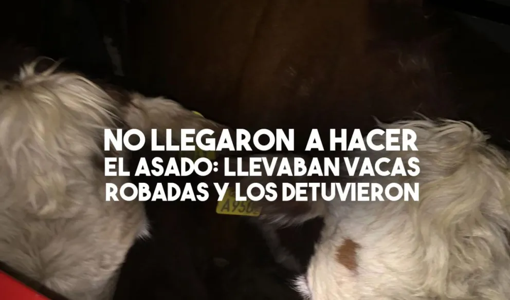 Llevaban animales de campo ajeno y lo detuvieron