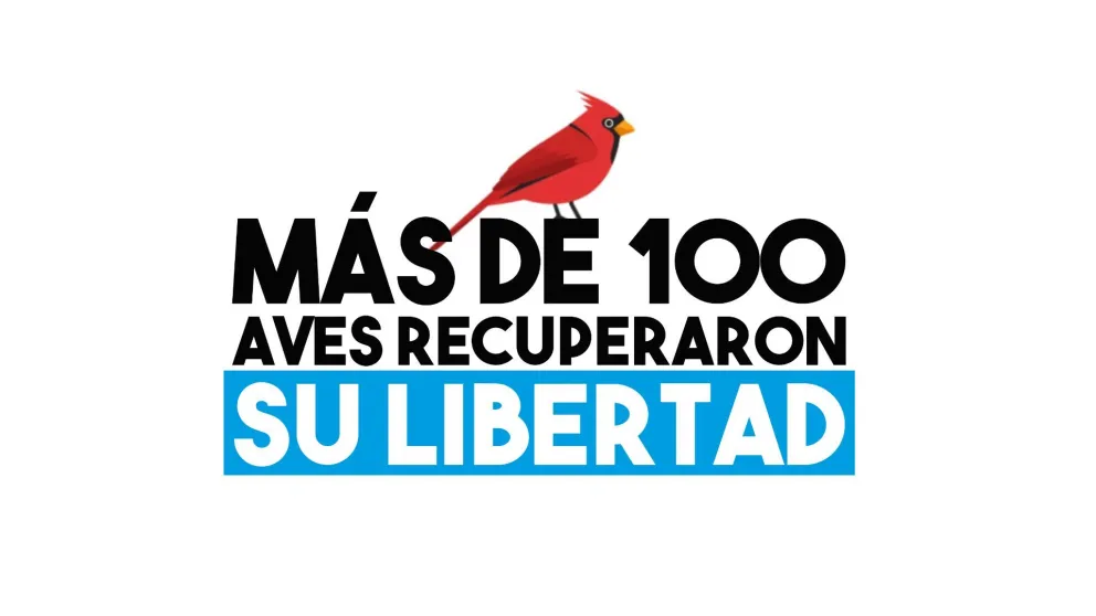 Ambiente liberó mas de 100 aves en cautiverio