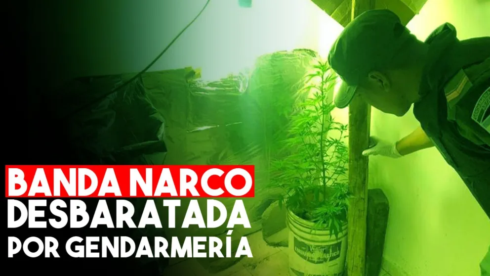 Gendarmería detuvo a seis personas por narcotráfico