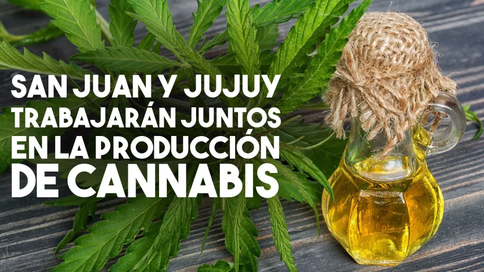 San Juan y Jujuy acordaron cooperar en la producción de cannabis