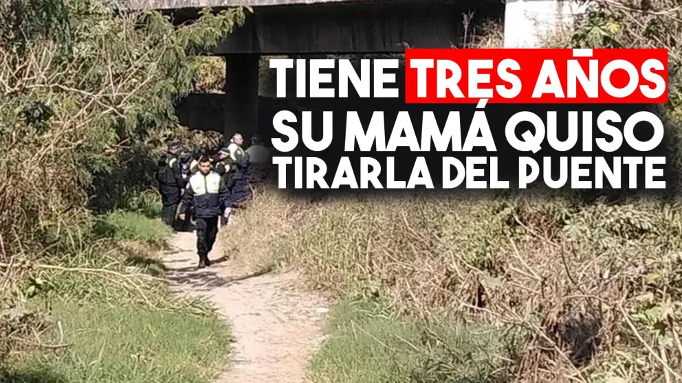 Una mujer intentó arrojar desde un puente a su nena de tres años