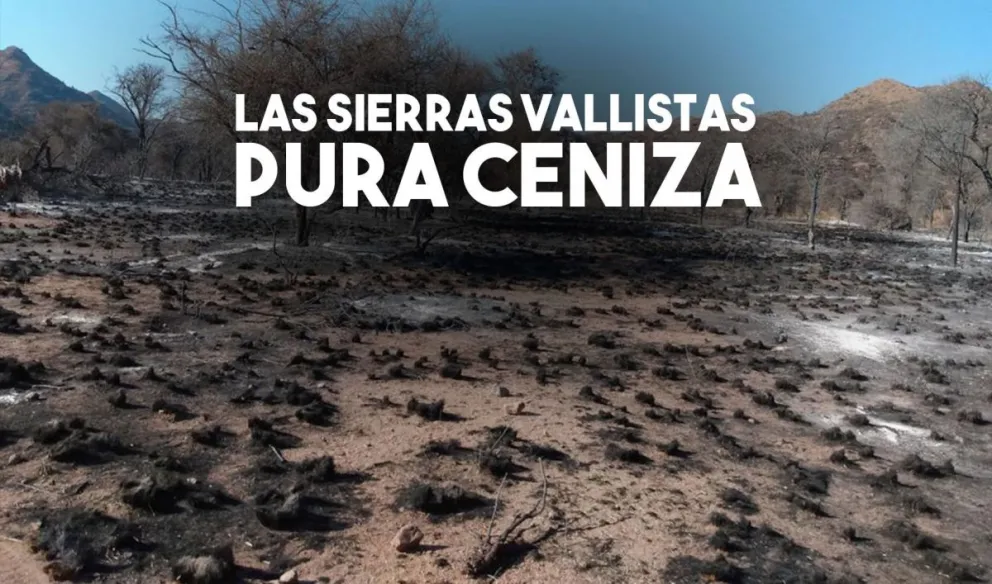 Impactantes imágenes de lo que dejó el incendio en las sierras vallistas