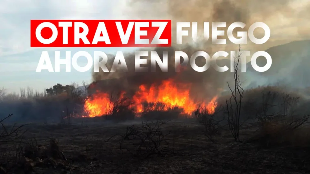 Un incendio consumió una hectárea en Pocito