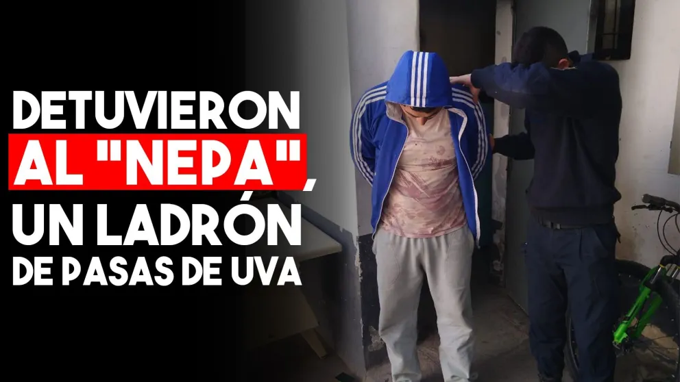 Detuvieron a un delincuente que robaba pasas de uva