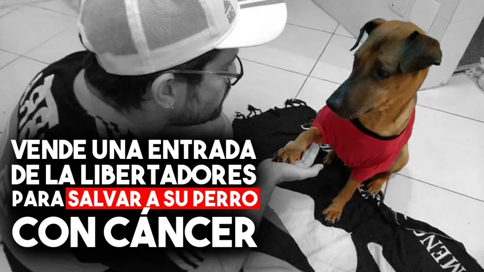 Un hincha vende las entradas de la semifinal de la Libertadores para salvar a su perro con cáncer
