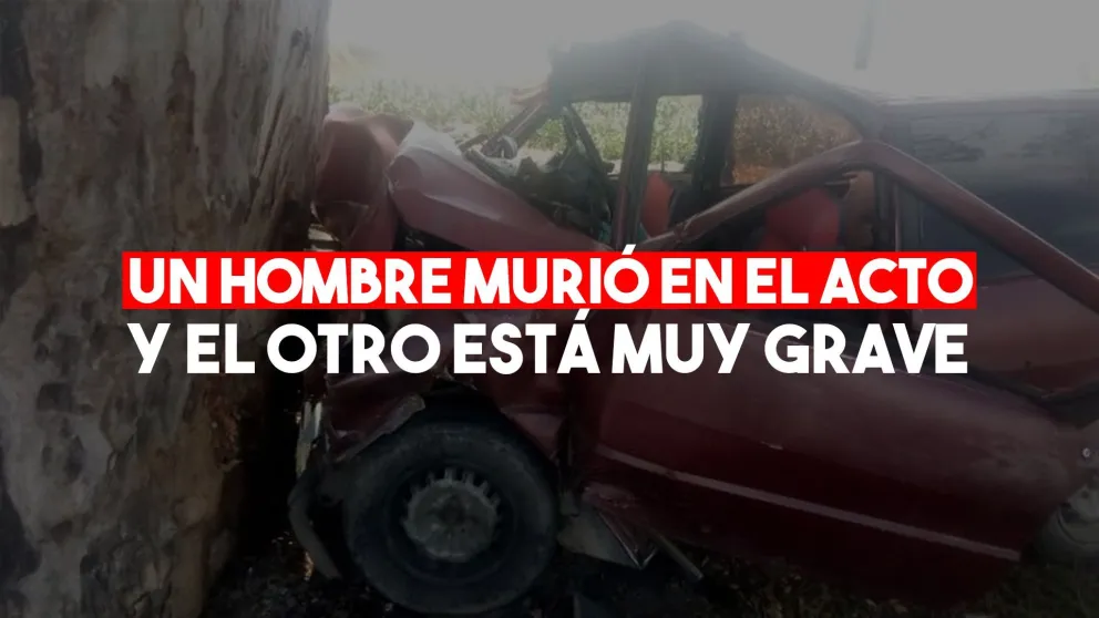 Se estrellaron contra un árbol: uno murió en el acto y el otro está muy grave