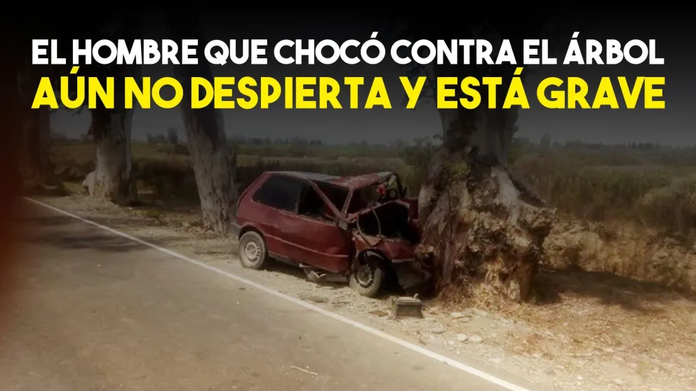 El conductor del auto que chocó contra un árbol sigue en terapia intensiva