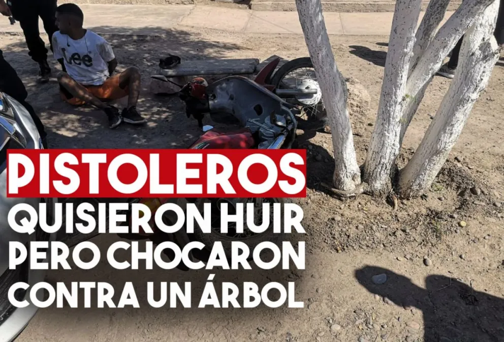 Dispararon, quisieron huir de la policía y los atraparon luego de chocar contra un árbol