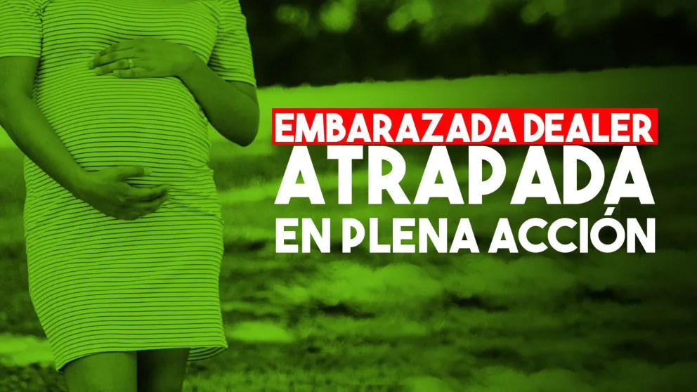 Una mujer embarazada vendía droga y la detuvieron