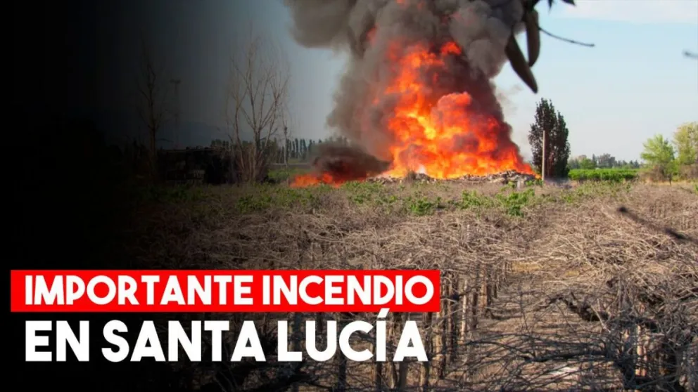 Un incendio en el fondo de la bodega Tucuma genera pánico