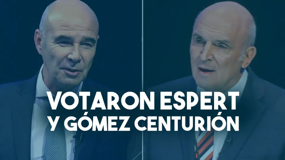 Votaron Espert y Gómez Centurión