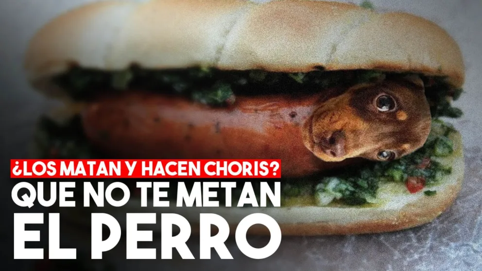Denunciaron que matan perros y los hacen "choris"