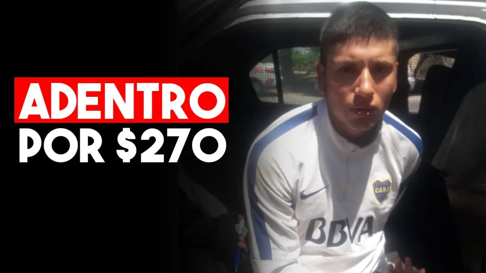 Quiso robar en una forrajería pero el dueño del lugar se lo impidió