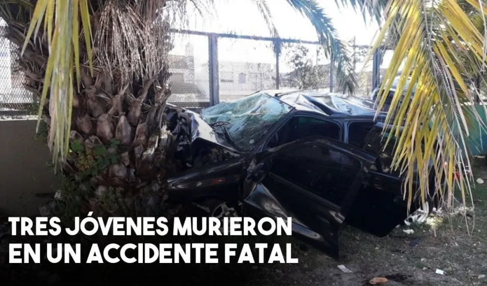 Accidente fatal en Quilmes: un auto chocó contra una palmera y dejó 3 muertos