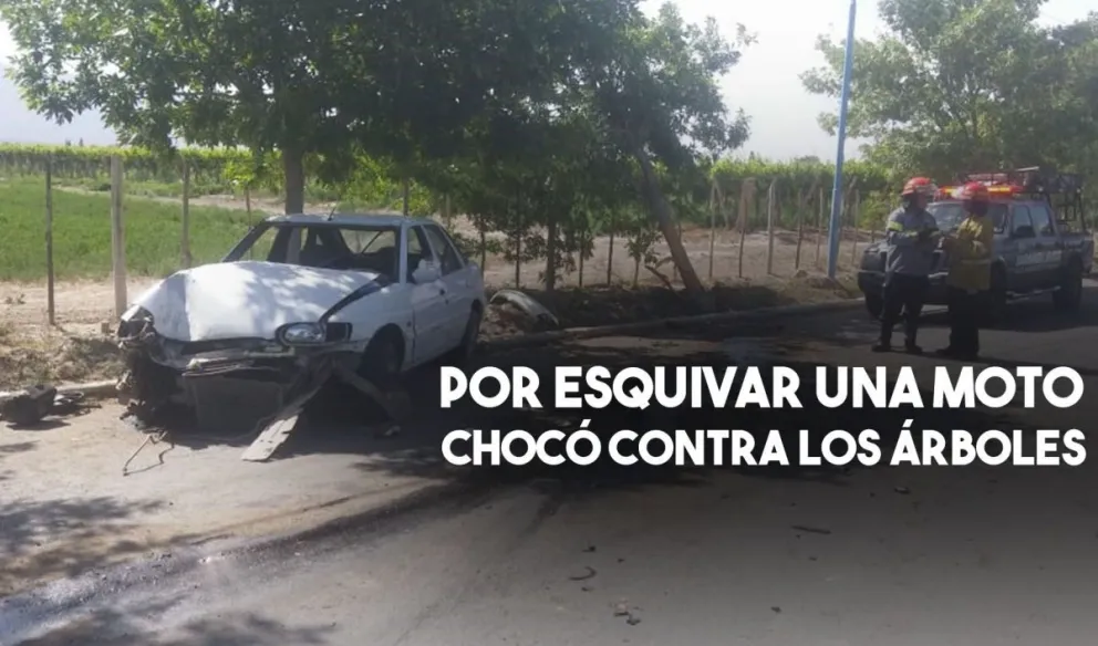 Por esquivar una moto chocó contra los árboles