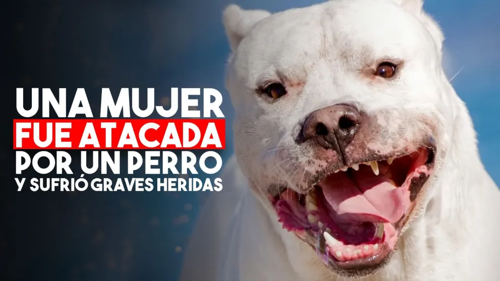 Un perro atacó a una mujer y le provocó serias heridas
