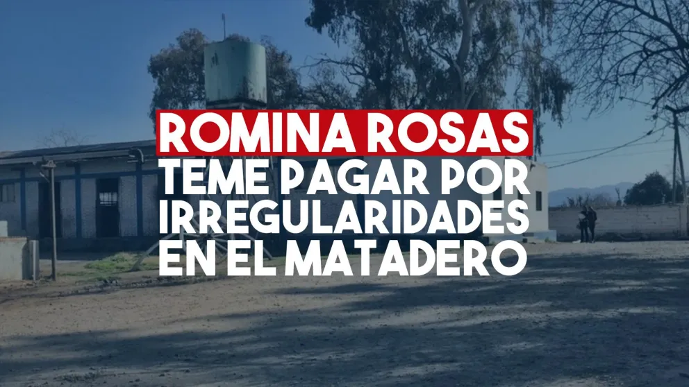 Temen que el posible desfalco al matadero afecte la gestión de Romina Rosas