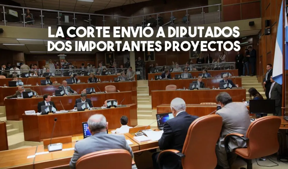 La Corte de Justicia pidió que los casos de violencia familiar y de género pasen a flagrancia