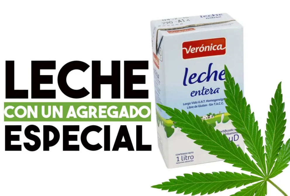 Encontraron droga en una encomienda enviada a Jachal