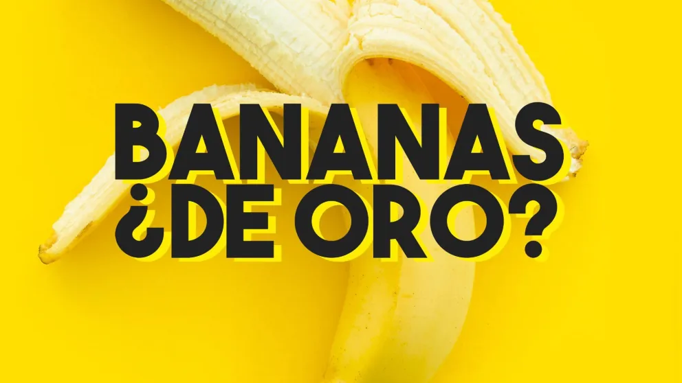 El precio de las bananas se duplicó en los últimos días