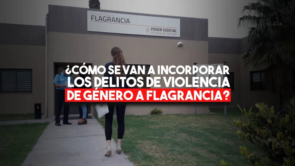 ¿Cómo se logrará incorporar delitos de violencia de género a Flagrancia?