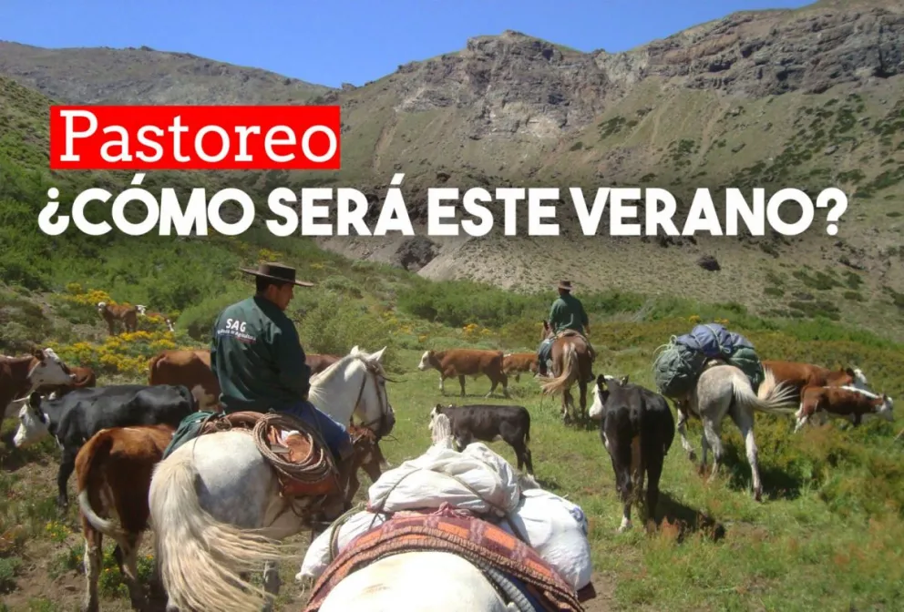 Veranadas: redujeron la cantidad de animales que ingresarán a pastorear a San Juan