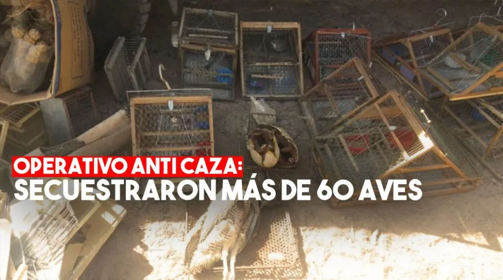 Ambiente labró diez infracciones por caza furtiva
