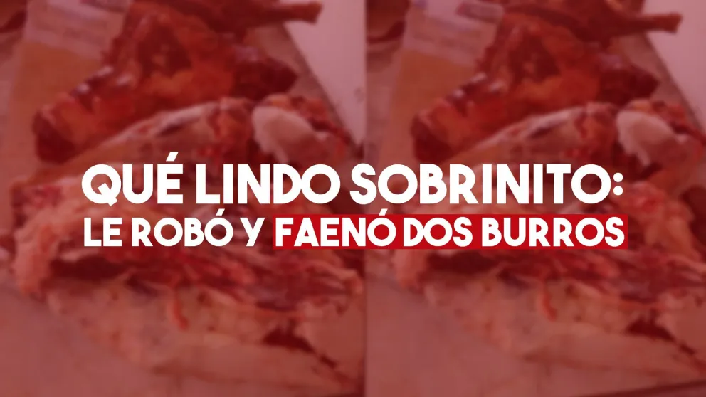 Le robaron dos burros y los faenaron en el lugar: su sobrino terminó detenido