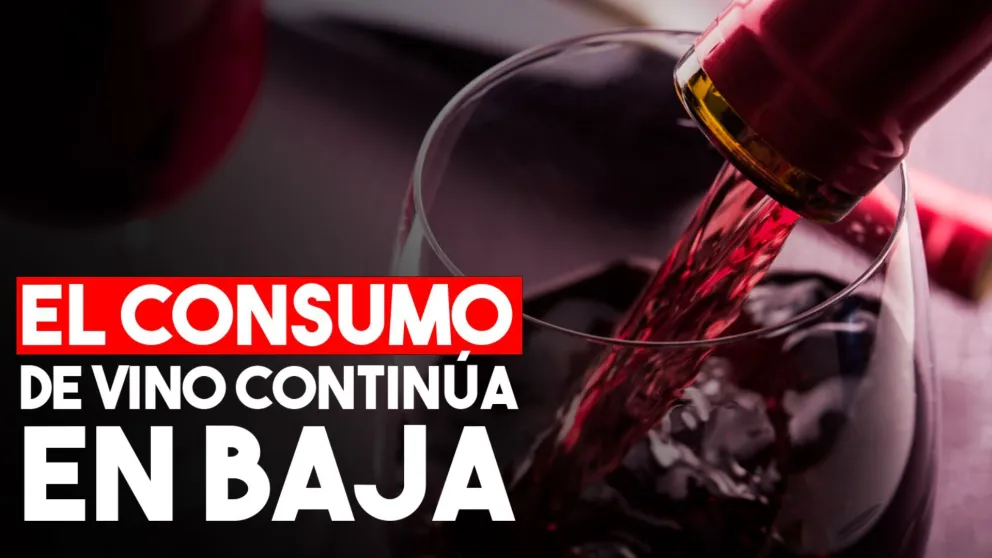 Día del Vino Argentino: las cifras de consumo no son las mejores