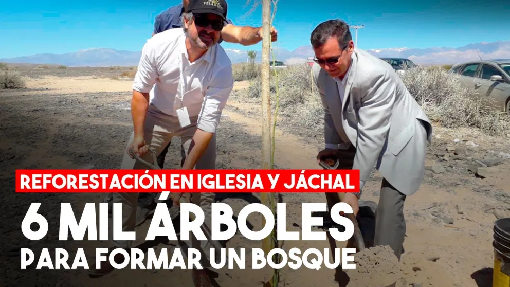 Plan Forestal en Iglesia: sembraron 6 mil ejemplares de distintas especies