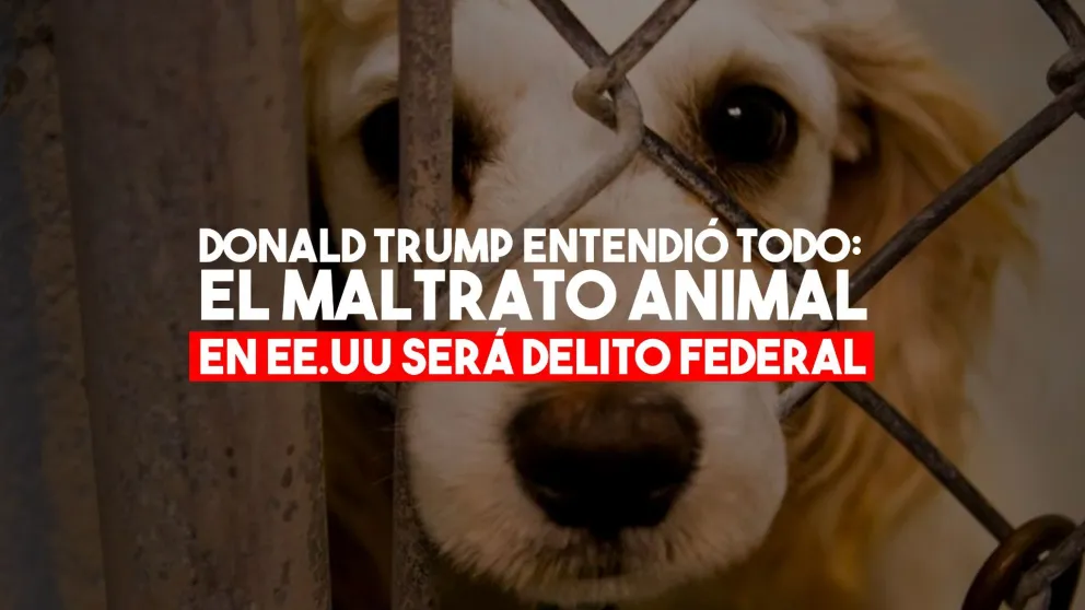 Donald Trump convirtió el maltrato animal en delito federal