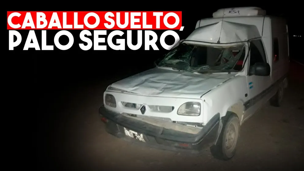 Chocó con un caballo suelto en la ruta y se salvó de milagro