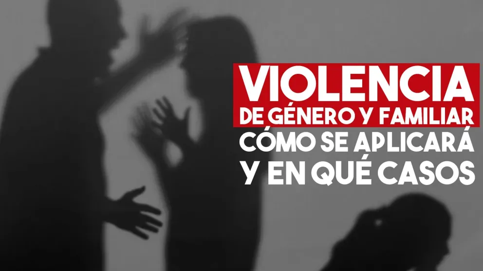 Este jueves se aprobará la incorporación de la violencia familiar a los delitos de Flagrancia