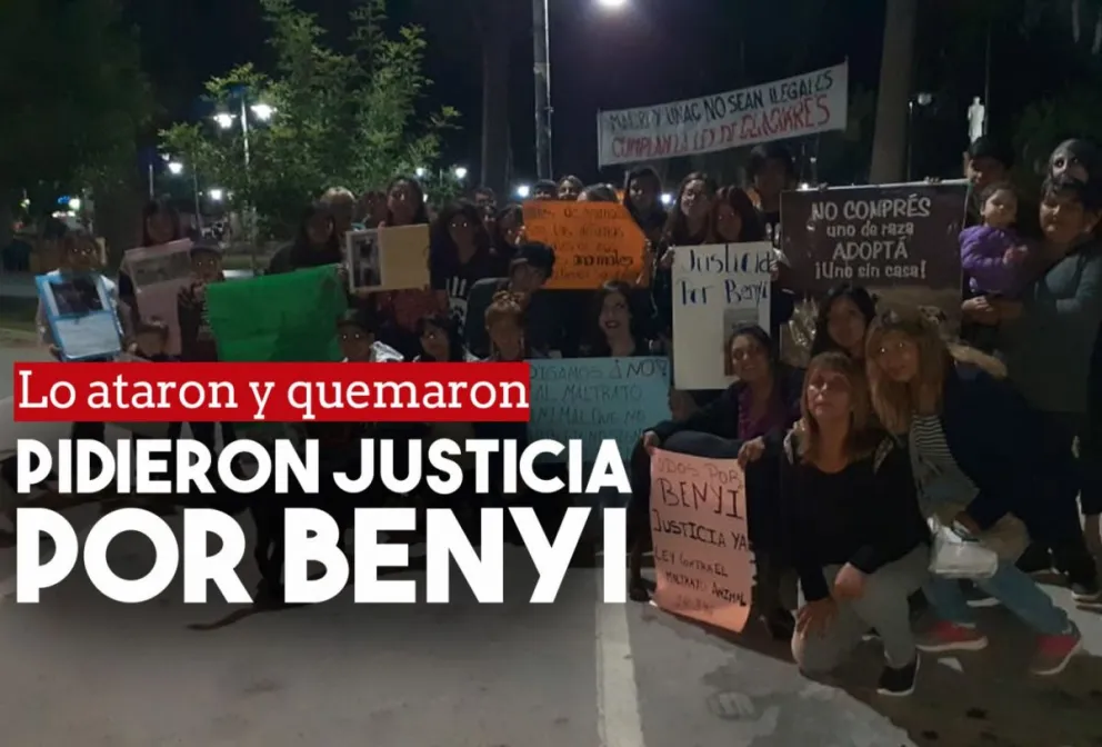 Jachalleros marcharon por Benyi, el perro que fue atado y quemado