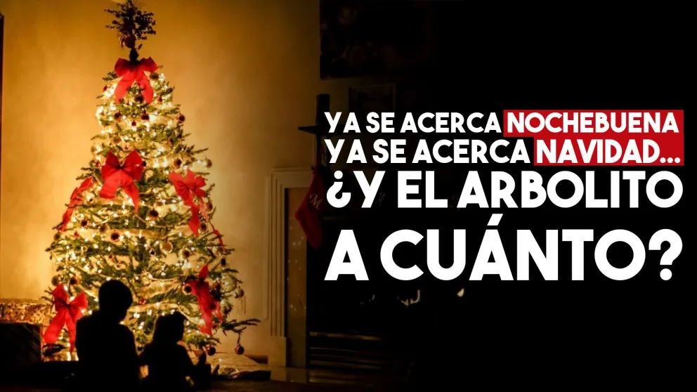 ¿Cuánto vas a tener que pagar para armar un arbolito de Navidad?
