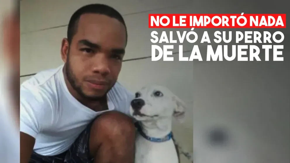 Arriesgó su vida para salvar a su perro de morir ahogado