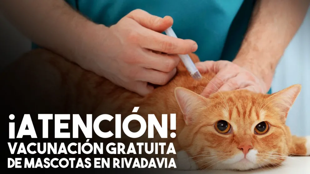 Vacunación de mascotas en Rivadavia