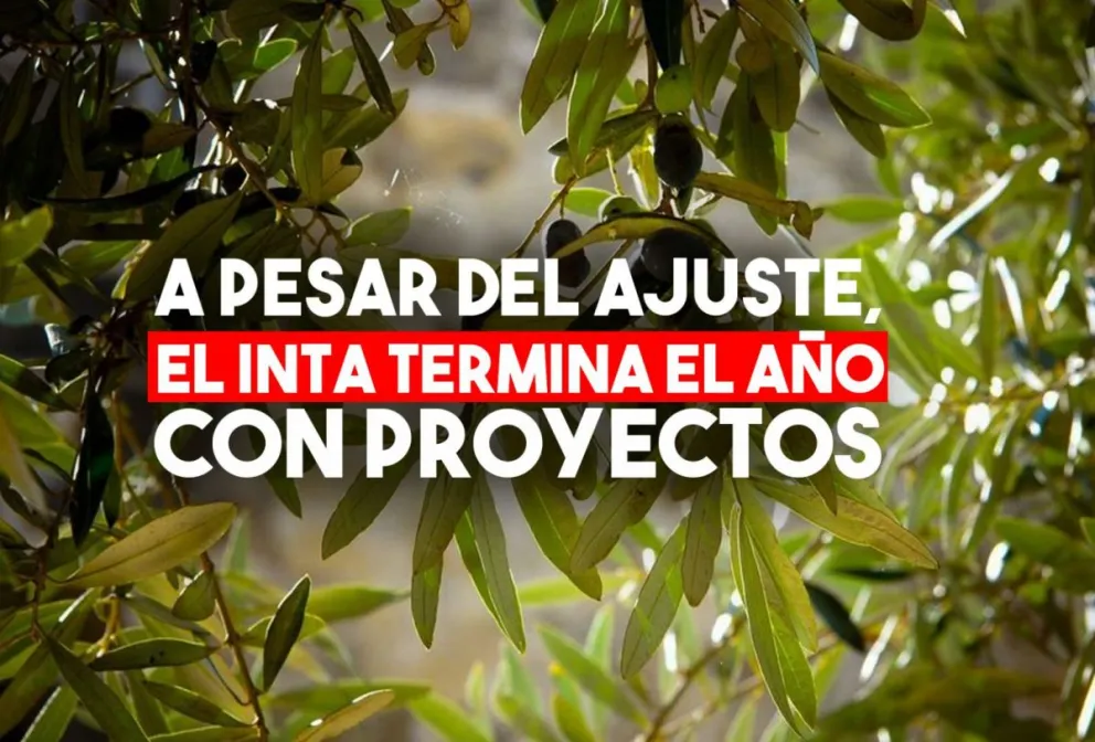 Con recursos para la nueva cartera de proyectos, el INTA empieza a delinear el 2020