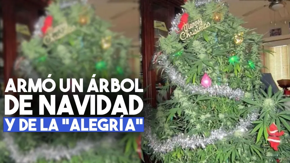 Armó un árbol de Navidad con una planta de marihuana para alegrar a su familia