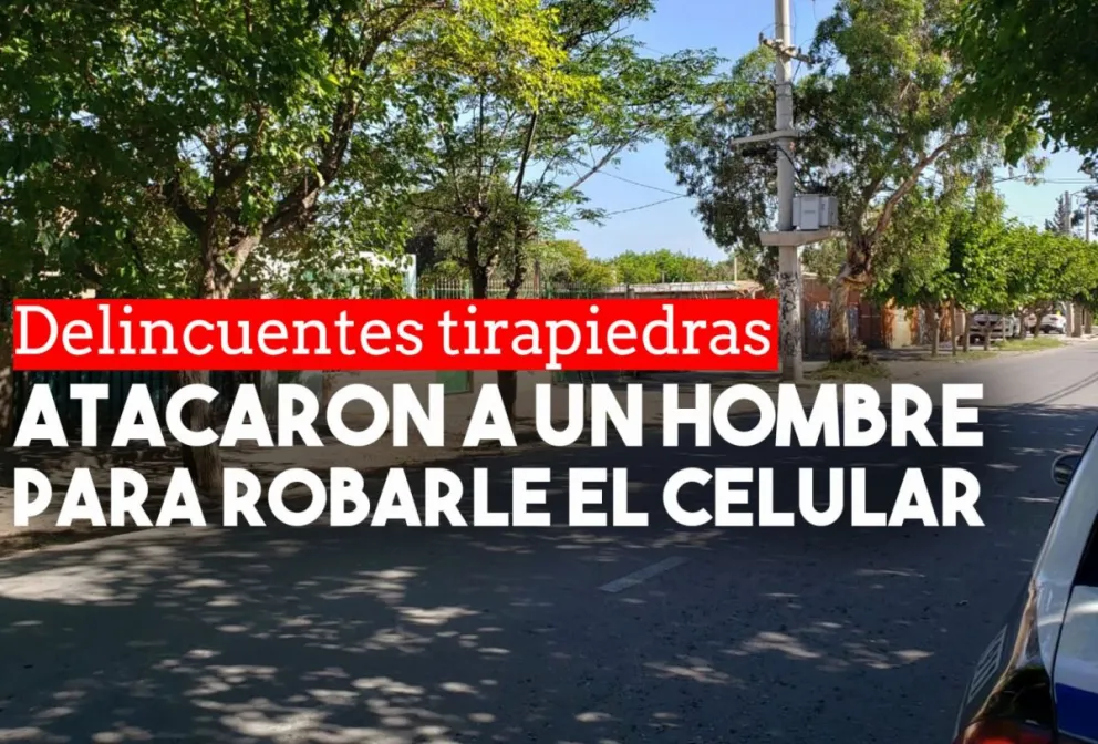 No pudieron robarle y lo atacaron a piedrazos