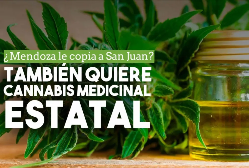 Mendoza también quiere desarrollar aceite de cannabis