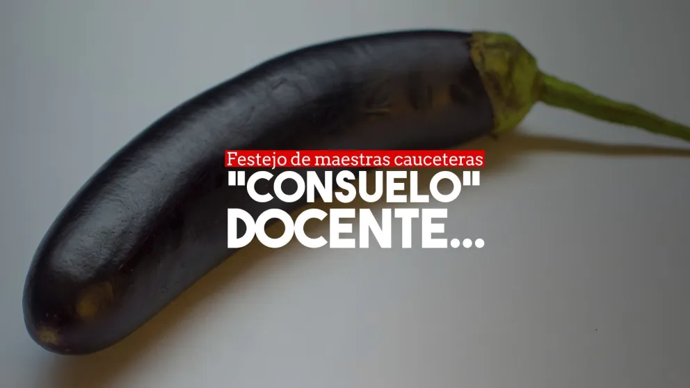 Maestras festejaron fin de año con un juguete sexual, se filmaron y generaron polémica