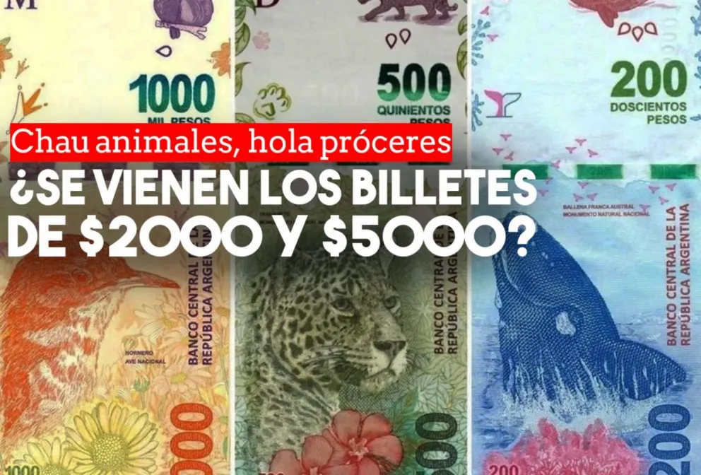 Analizan emitir billetes de $2000 y $5000