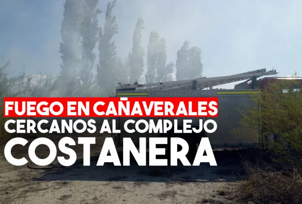 Incendiaron cañaverales y parrales en inmediaciones del Complejo Costanera