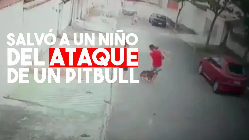 Salvó a un niño del ataque de un perro: ambos terminaron con heridas