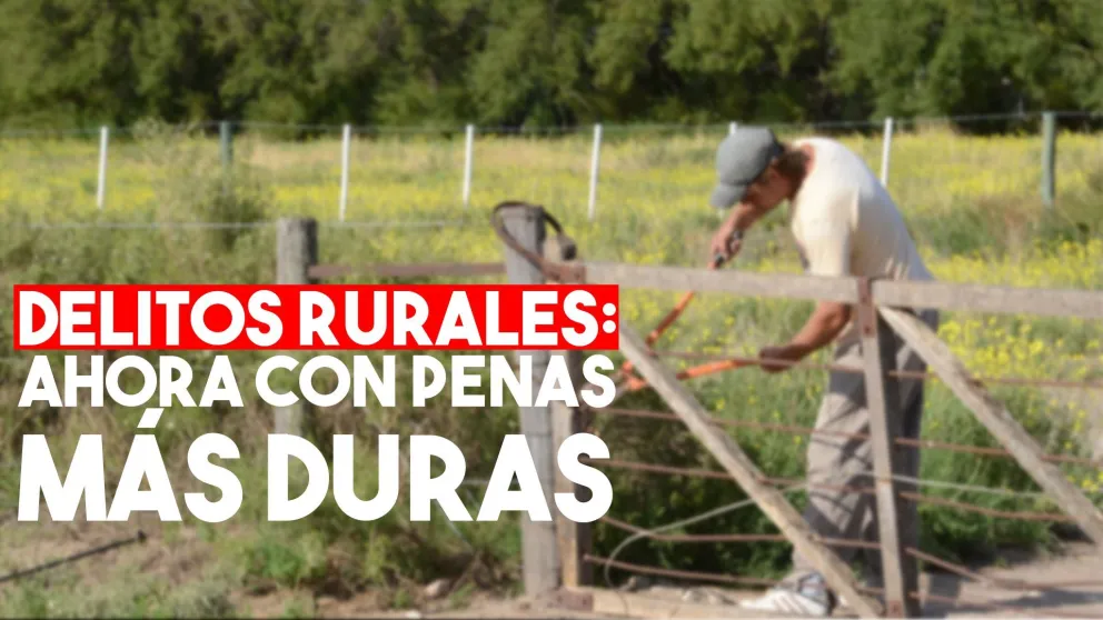 Endurecerán las penas para los delitos rurales