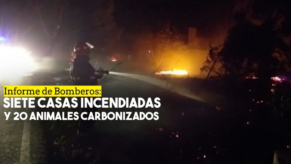 Más de 20 animales carbonizados y siete casas incendiadas, el saldo lamentable del viento