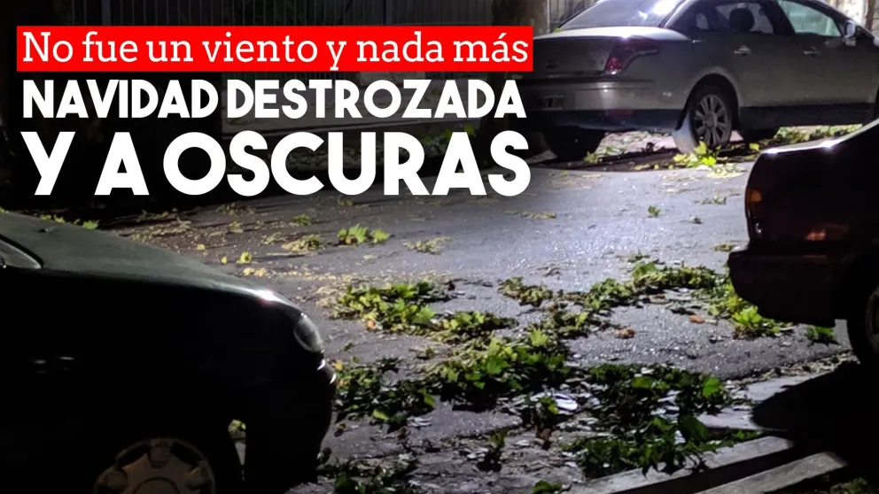 Tal como lo anunciaron, el viento sur llegó con mucha tierra y causó destrozos en varias zonas
